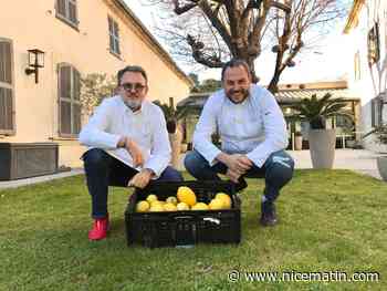 Au Cannet, la Villa Archange de Bruno Oger décroche le label écotable