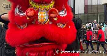 Durham's Chinese New Year celebrations are a roaring success - Chronicle Live