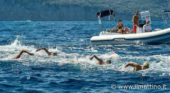 Wowsa Awards, la Capri-Napoli è la migliore prova di nuoto di fondo - ilmattino.it
