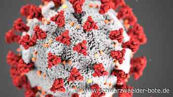 Corona im Kreis Calw: Landkreis meldet Rekordwerte