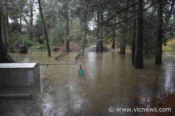 Sidney infrastructure performed well through November storms, despite some issues – Victoria News - Victoria News