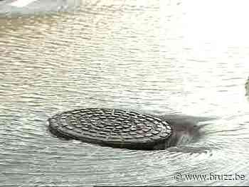 Geluidswerende putdeksels doen intrede in Brussel - BRUZZ