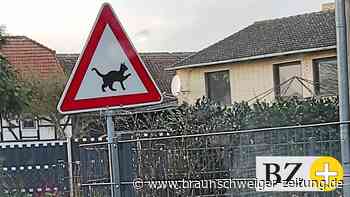 Streit um Radweg von Bodenstedt nach Lengede