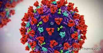 MONDAY UPDATE: State of Missouri reports new coronavirus cases down over 50% - ABC17News.com