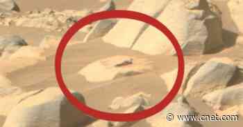 Reclining 'alien figure' in NASA Mars rover image is really a rock     - CNET