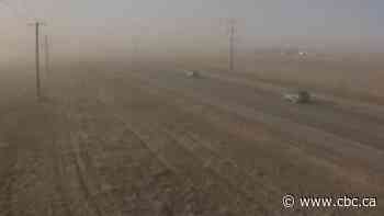 Multiple collisions reported as dust storm blows across southern Alberta