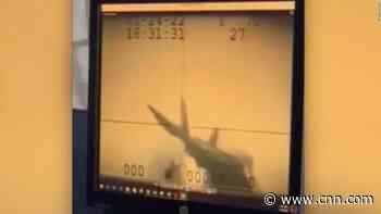 Leaked video shows fiery F-35 crash on aircraft carrier