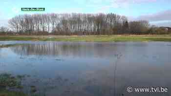De Velpe is gestegen, maar geen alarmfase in Halen-centrum - TV Limburg