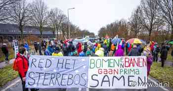 Bezetters Sterrebos halen steun uit demonstratie: 'We blijven hier tot 1 maart als het moet' - AD.nl