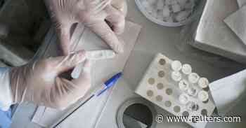 Brazil reports 66583 new cases of coronavirus, 428 deaths - Reuters