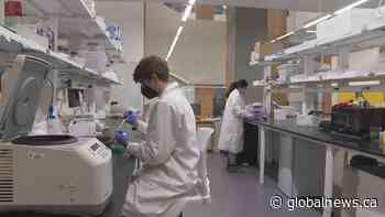 Alzheimer’s research at University of Lethbridge gets huge funding boost