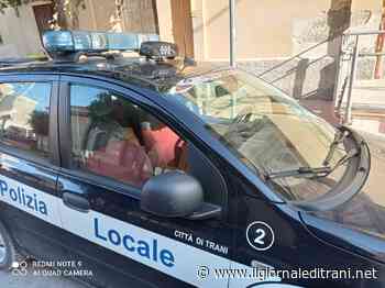 Trani, è tornato in strada il Munipol. Polizia locale in piena attività nel weekend - ilgiornaleditrani - Radio Bombo