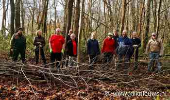 Grote groep vrijwilligers aan de slag in bos Zevenhutten - Kliknieuws.nl