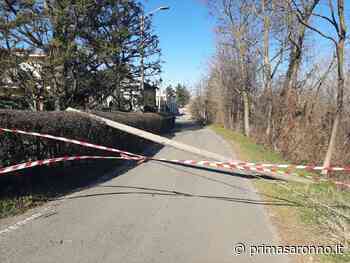 Cade un palo Telecom, chiusa una strada - Prima Saronno