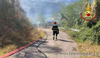 FORLI': Incendio a Dovadola, sterpaglie e bosco in fiamme - teleromagna24.it