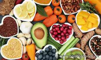 Better Health campaign: a facilitator of unhealthy food relationships - Palatinate