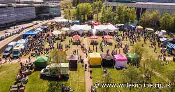 Swansea's popular Street Food Festival is returning after two years - Wales Online