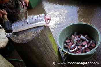 Fortifying food with sustainable omega-3 from fish by-products - FoodNavigator.com