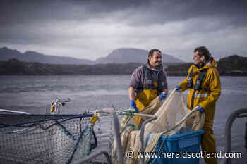 Big Read: Salmon is Scotland's biggest food export and we must help it compete - HeraldScotland