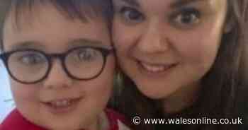Mum tries shopping on a 2012 budget as food prices soar - and it's impossible - Wales Online