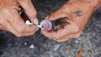 DOJ to evaluate providing safe havens for drug use