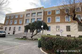 Termoli, la mensa scolastica si gestisce da smartphone: ecco come - isnews