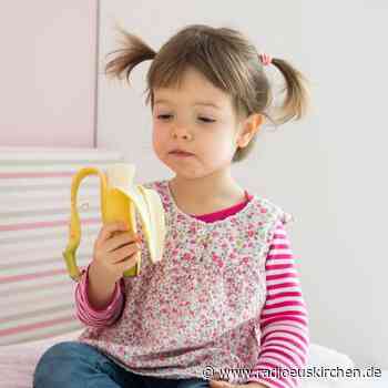 Vorliebe für Süßes wird schon früh geprägt - radioeuskirchen.de