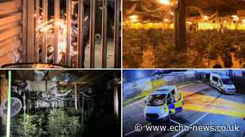 Basildon: Police find huge cannabis farm at industrial unit | Echo - Echo