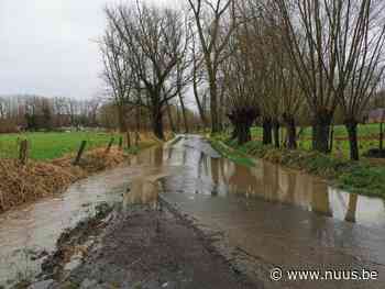 Hevige rukwinden en zware regenval ook merkbaar in Brakel - NUUS