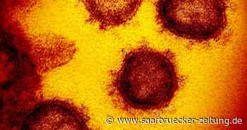 Corona-Entwicklung in Merzig-Wadern: Fragen und Antworten von Kreis und Gesundheitsamt - Saarbrücker Zeitung