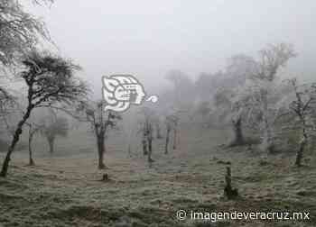 ¿Tienes frío? En Misantla se registran temperaturas bajo cero - Imagen de Veracruz