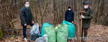 Parco di Monza: i volontari raccolgono le reticelle che proteggevano le piantine giovani (e che sono cresciute) - Il Cittadino di Monza e Brianza