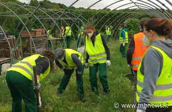 Alla Scuola Agraria di Monza parte AutAcademy, 12 ragazzi autistici si preparano al lavoro - MBnews