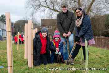 Blackburn with Darwen: 7,000 new trees to be planted - Lancashire Telegraph