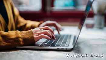Calgary launches new program to help small businesses succeed online - CTV News Calgary