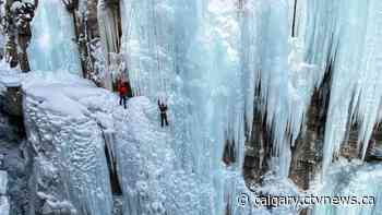 CTV Calgary weather for Monday, Feb. 7 | CTV News - CTV News Calgary