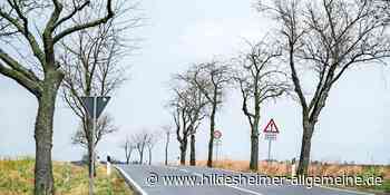 Kreis Hildesheim plante Radweg, den gar keiner will - www.hildesheimer-allgemeine.de