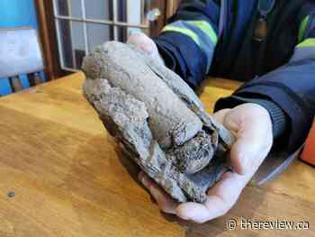 Still on the rocky trail of history; looking for information about a local find - The Review Newspaper