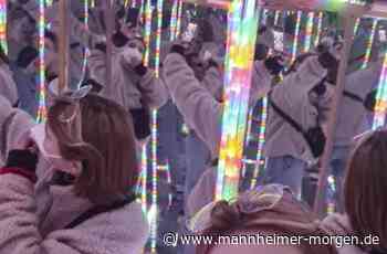 Mit Augen und Ohren - Mannheimer Morgen