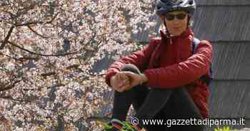 Donna morta a Trieste: attesi nuovi esami tecnici - Gazzetta di Parma