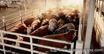 What’s for dinner? Strong beef prices