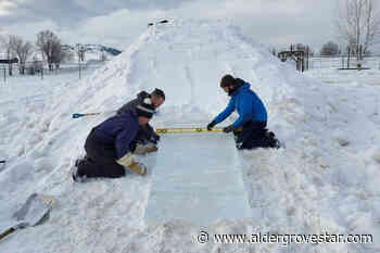 VIDEO: Langley ice creators slide into Vernon Winter Carnival – Aldergrove Star - Aldergrove Star