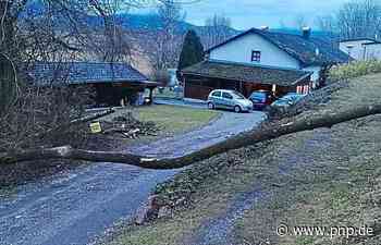 Sturm und ein verletzter Schwan fordern Feuerwehren - Passauer Neue Presse