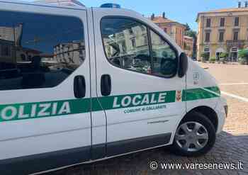 Ambulante nel centro storico di Gallarate denunciato dalla Polizia Locale - varesenews.it