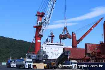 Porto de Imbituba tem recorde histórico de movimentação de cargas no semestre - Engeplus