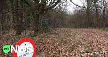 Jeugdverenigingen van Lummen starten petitie tegen kap van bosje voor revalidatiecentrum - VRT NWS