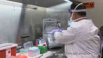 State reports 833 new coronavirus infections; no fatalities - Hawaii News Now