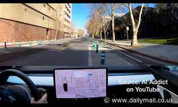 Tesla car in 'Full Self-Driving' mode hits a bollard on camera