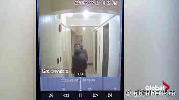 Trucker protests: Security cameras show two alleged protesters attempting to set Ottawa apartment building on fire | Watch News Videos Online - Globalnews.ca