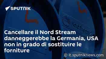 Cancellare il Nord Stream danneggerebbe la Germania, USA non in grado di sostituire le forniture - Sputnik Italia